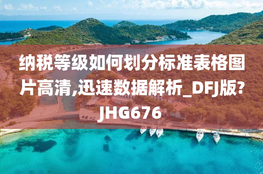 纳税等级如何划分标准表格图片高清,迅速数据解析_DFJ版?JHG676