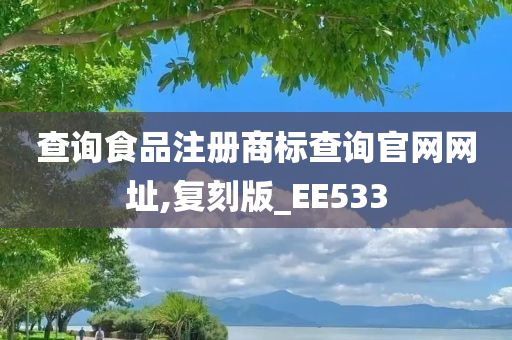 查询食品注册商标查询官网网址,复刻版_EE533