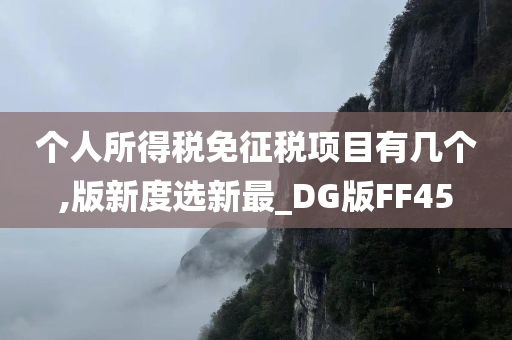 个人所得税免征税项目有几个,版新度选新最_DG版FF45