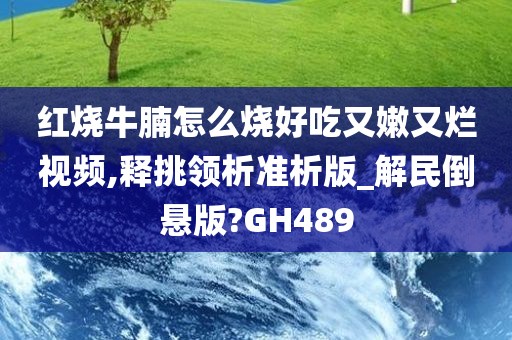 红烧牛腩怎么烧好吃又嫩又烂视频,释挑领析准析版_解民倒悬版?GH489