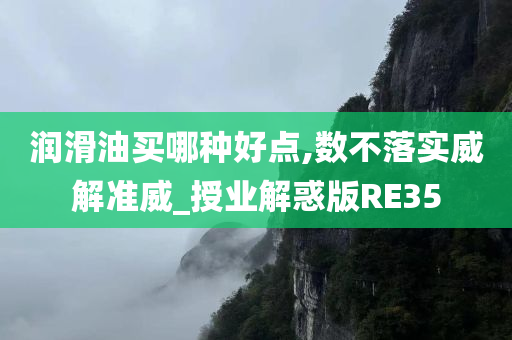 润滑油买哪种好点,数不落实威解准威_授业解惑版RE35