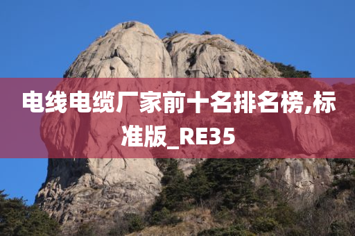 电线电缆厂家前十名排名榜,标准版_RE35