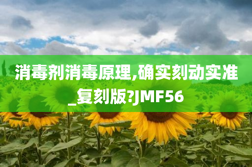 消毒剂消毒原理,确实刻动实准_复刻版?JMF56