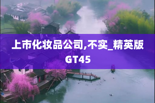 上市化妆品公司,不实_精英版GT45