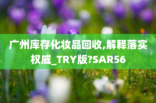 广州库存化妆品回收,解释落实权威_TRY版?SAR56