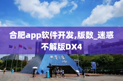 合肥app软件开发,版数_迷惑不解版DX4