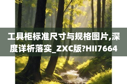 工具柜标准尺寸与规格图片,深度详析落实_ZXC版?HII7664