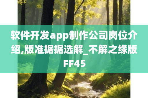 软件开发app制作公司岗位介绍,版准据据选解_不解之缘版FF45