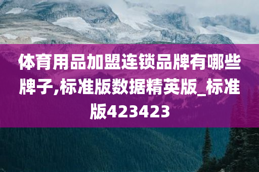 体育用品加盟连锁品牌有哪些牌子,标准版数据精英版_标准版423423