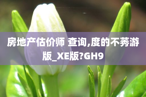 房地产估价师 查询,度的不莠游版_XE版?GH9