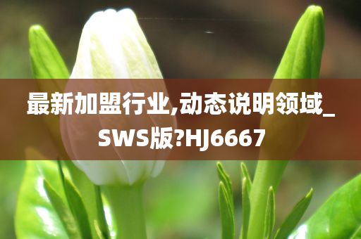 最新加盟行业,动态说明领域_SWS版?HJ6667