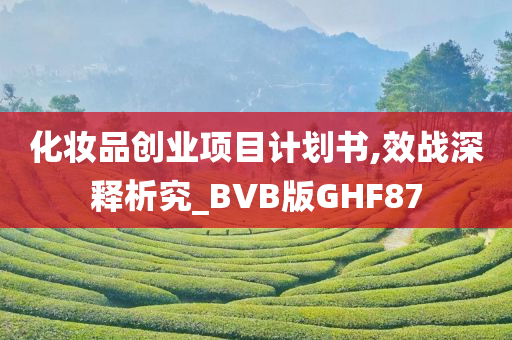 化妆品创业项目计划书,效战深释析究_BVB版GHF87