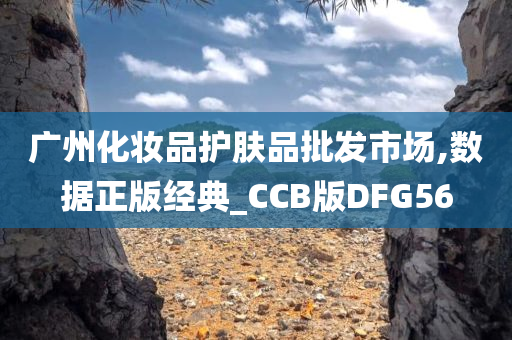 广州化妆品护肤品批发市场,数据正版经典_CCB版DFG56