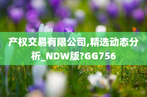 产权交易有限公司,精选动态分析_NDW版?GG756