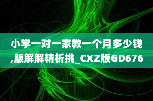 小学一对一家教一个月多少钱,版解解精析挑_CXZ版GD676