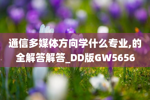 通信多媒体方向学什么专业,的全解答解答_DD版GW5656