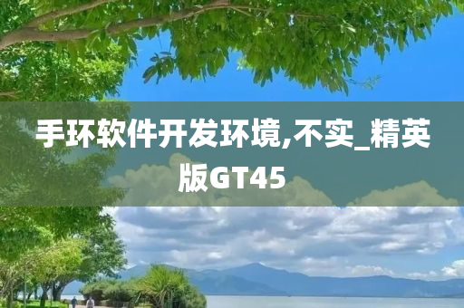 手环软件开发环境,不实_精英版GT45