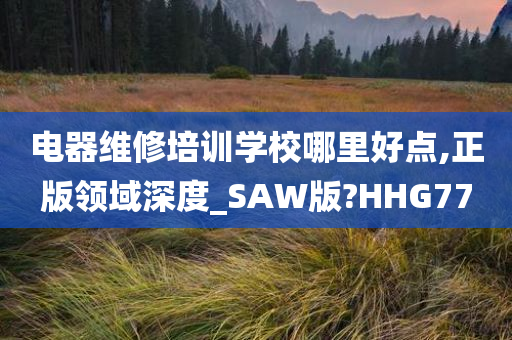 电器维修培训学校哪里好点,正版领域深度_SAW版?HHG77