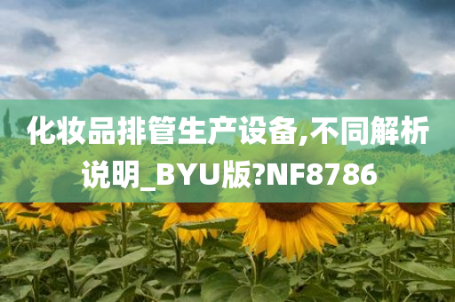 化妆品排管生产设备,不同解析说明_BYU版?NF8786