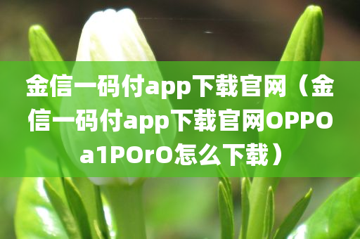 金信一码付app下载官网（金信一码付app下载官网OPPOa1POrO怎么下载）