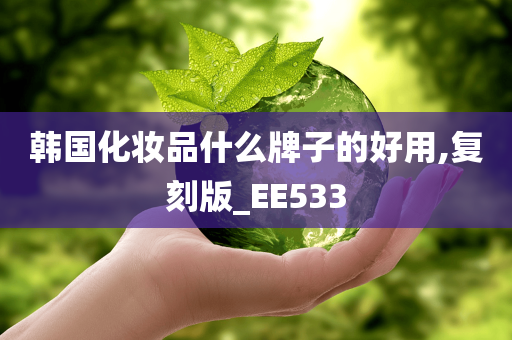 韩国化妆品什么牌子的好用,复刻版_EE533