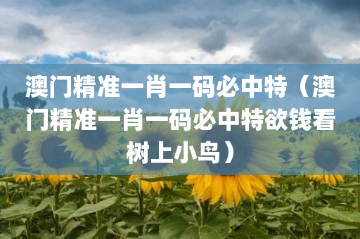 澳门精准一肖一码必中特（澳门精准一肖一码必中特欲钱看树上小鸟）