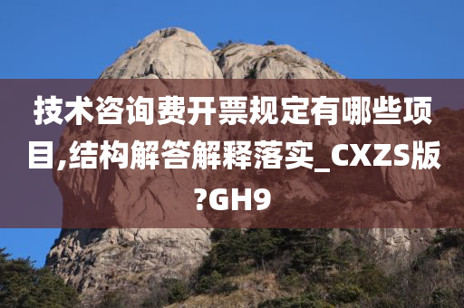 技术咨询费开票规定有哪些项目,结构解答解释落实_CXZS版?GH9