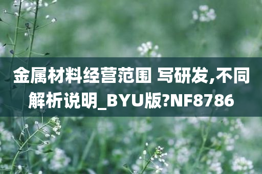 金属材料经营范围 写研发,不同解析说明_BYU版?NF8786