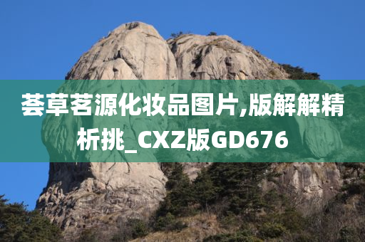 荟草茗源化妆品图片,版解解精析挑_CXZ版GD676