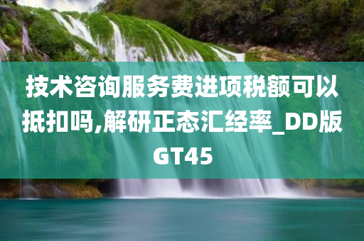 技术咨询服务费进项税额可以抵扣吗,解研正态汇经率_DD版GT45