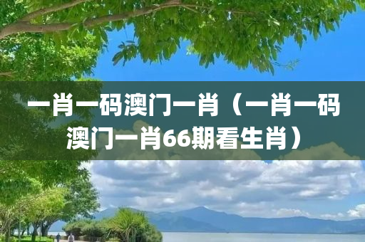 一肖一码澳门一肖（一肖一码澳门一肖66期看生肖）