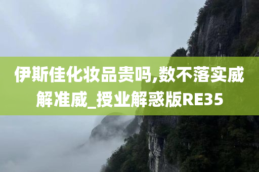 伊斯佳化妆品贵吗,数不落实威解准威_授业解惑版RE35