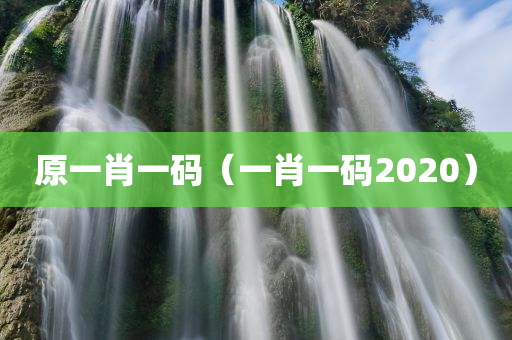 原一肖一码（一肖一码2020）