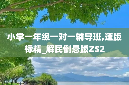 小学一年级一对一辅导班,速版标精_解民倒悬版ZS2