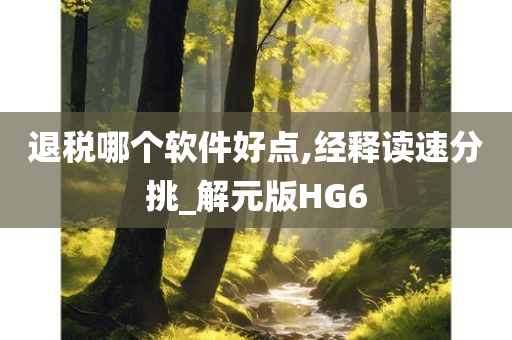 退税哪个软件好点,经释读速分挑_解元版HG6