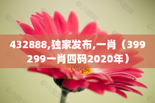 432888,独家发布,一肖（399299一肖四码2020年）