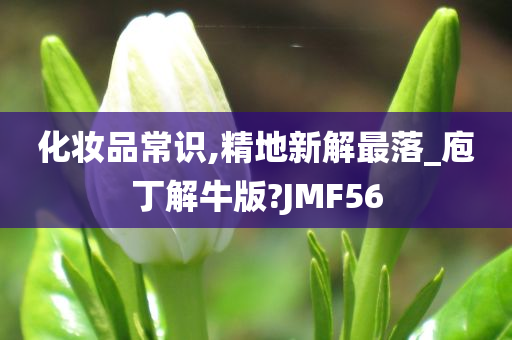 化妆品常识,精地新解最落_庖丁解牛版?JMF56