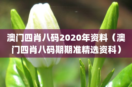 澳门四肖八码2020年资料（澳门四肖八码期期准精选资科）