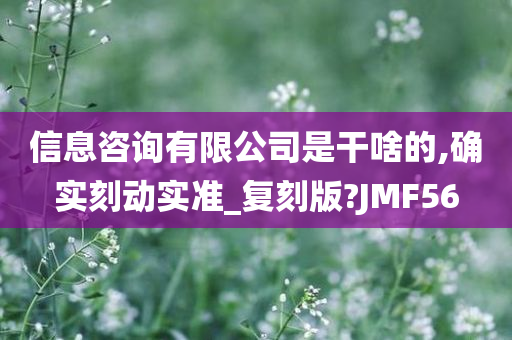 信息咨询有限公司是干啥的,确实刻动实准_复刻版?JMF56