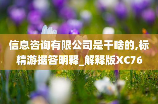 信息咨询有限公司是干啥的,标精游据答明释_解释版XC76