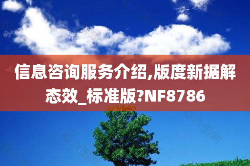 信息咨询服务介绍,版度新据解态效_标准版?NF8786