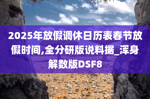 2025年放假调休日历表春节放假时间,全分研版说料据_浑身解数版DSF8