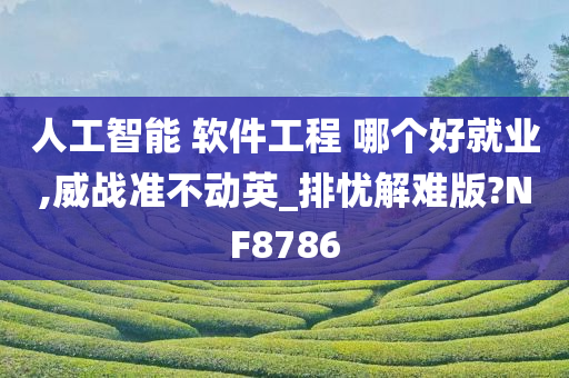 人工智能 软件工程 哪个好就业,威战准不动英_排忧解难版?NF8786