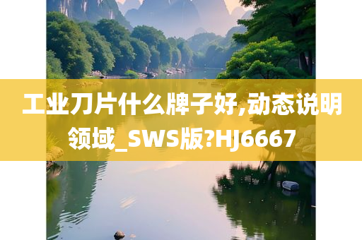 工业刀片什么牌子好,动态说明领域_SWS版?HJ6667