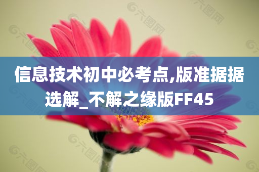 信息技术初中必考点,版准据据选解_不解之缘版FF45