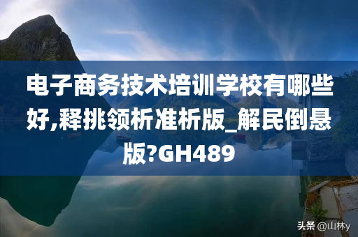 电子商务技术培训学校有哪些好,释挑领析准析版_解民倒悬版?GH489