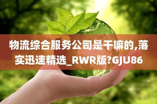 物流综合服务公司是干嘛的,落实迅速精选_RWR版?GJU86