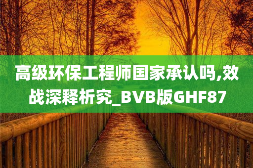 高级环保工程师国家承认吗,效战深释析究_BVB版GHF87