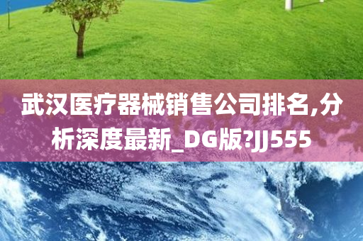 武汉医疗器械销售公司排名,分析深度最新_DG版?JJ555