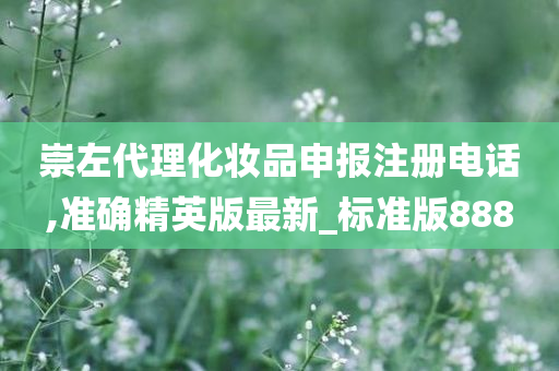 崇左代理化妆品申报注册电话,准确精英版最新_标准版888